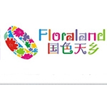 客户案例